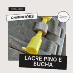 Lacre pino