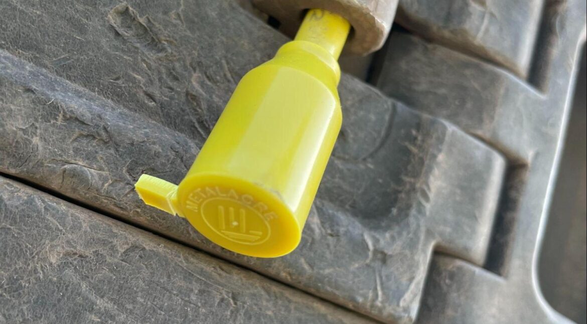 Lacre tipo pino e bucha