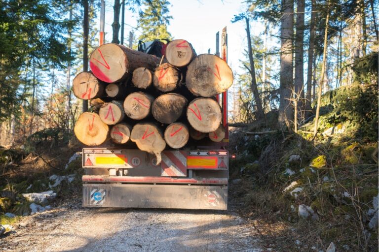 Como otimizar o transporte florestal e aumentar a eficiência da operação?